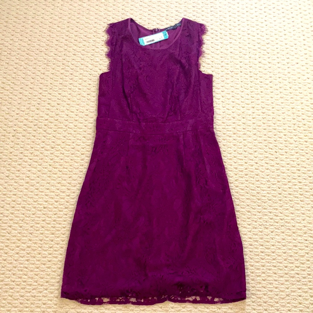 NWT. Lace, zip up dress. Great for work.